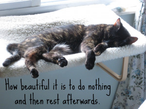 Conscious Cat Sunday: A Day of Rest