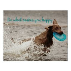 Weimaraner and Happy Quote Poster #weimaraner #happy
