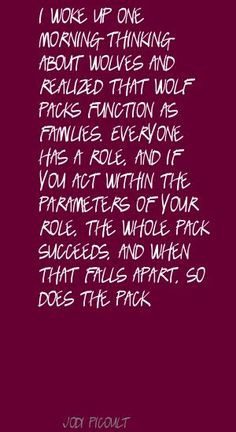 Jodi Picoult I woke up one morning thinking about Quote More