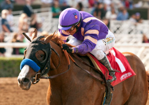 SAN VICENTE STAKES QUOTES