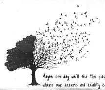 dream-birds-drawing-freedom-658698.jpg