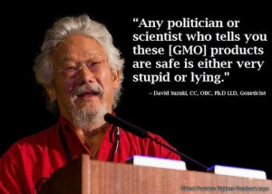 stupid-gmo.jpg