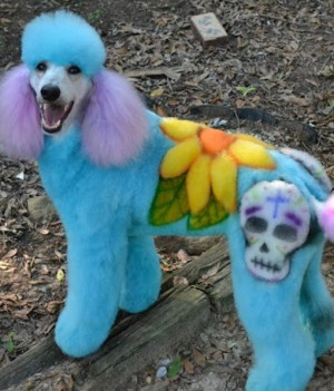 Source: http://www.pawnation.com/2013/05/01/extreme-dog-grooming/?icid ...