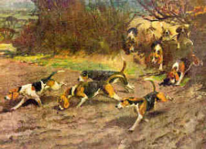Rabbit Hunting Painting Image