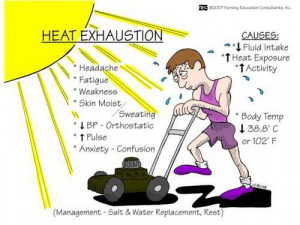 under the sun check out the causes and signs of heat exhaustion the ...