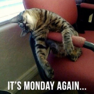 It's Monday.....