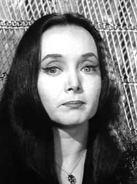 AMANDA PETERSON