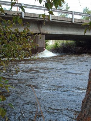 first generation river depth gauge – around 5 feet May 24th