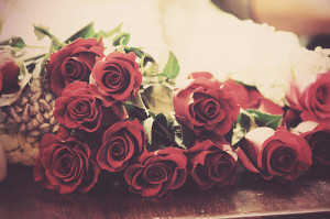flowers, red, roses, vintage