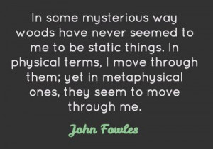 John Fowles