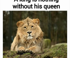 the king is nothing without his queen