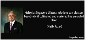 if cultivated and nurtured like an orchid plant Najib Razak