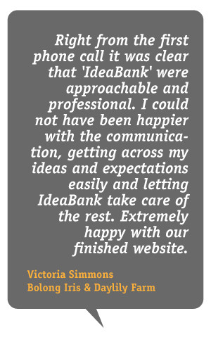 About IdeaBank