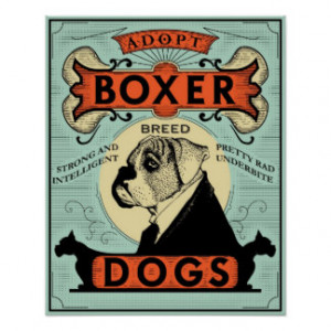 Boxer Poster 1