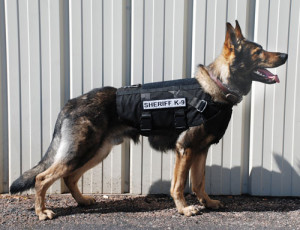Home > Canine Safety & Protection > Modular Harness Ballistic Vest