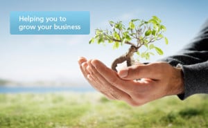 Helping You To Grow Your Business