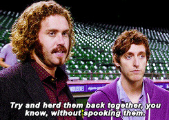 erlich bachman gif