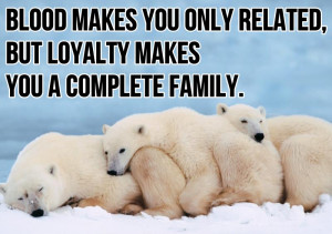 Family Quotes Graphics