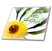 ... Follow Your Dreams Ladybug and Daisy Flower Inspirational Quotes Tile