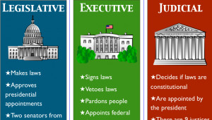 Executive Legislative and Judicial Branches