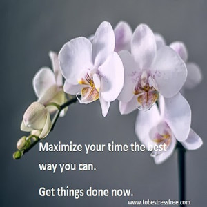 motivational quotes on making the most of time