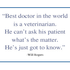 Veterinarian Quotes