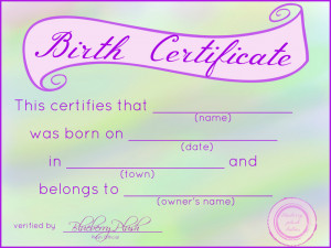 printable stuffed animal birth certificate