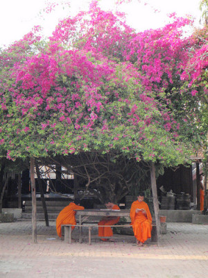 Related Pictures money trees kendrick lamar quotes