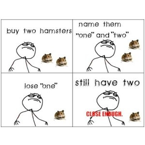 Related Pictures funny hamsters hamster song