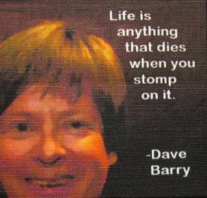 DAVE BARRY QUOTE - Printed Patch - Sew On - Vest, Bag, Backpack ...