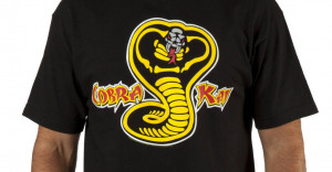 Karate Kid Cobra Kai