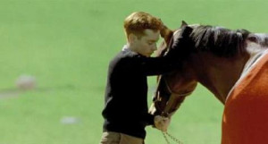 seabiscuit movie Images and Graphics