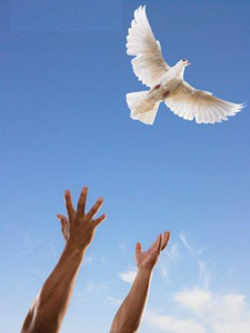 Emotional Freedom is a transformative five-day experience that will ...