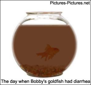 photo cartoon goldfish diarrhea funny picture