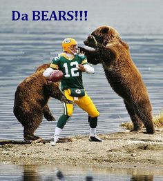 bears packers funny pictures - Google Search More