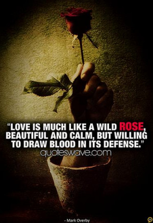 Love is much like a wild rose, beautiful and calm, but willing to draw ...