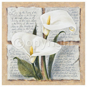 pictures of Calla Lily Print