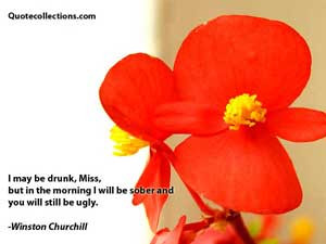 Winston Churchill Quotes 2