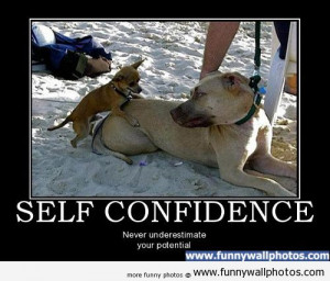 Funny Pictures Confidence Quotes Self Girl