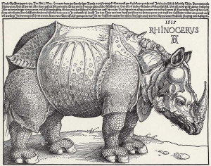 Dürer, Albrecht: Rhinozeros [2]
