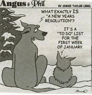 Funny New Year Jokes | New Year Resolution Jokes | New Year 2015 Funny ...