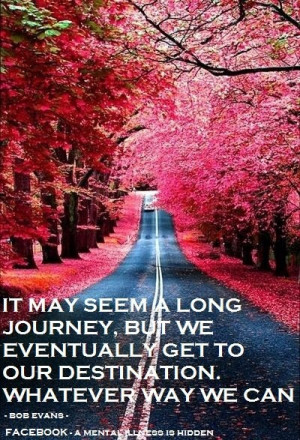 Life can be a very long journey quotes