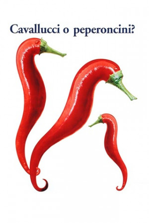 Related Pictures funny comics of adorable penguins funny quotes