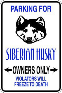 Parking For Siberian Husky Funny Quote W Dog Art Home Vinyl Wall Decal ...