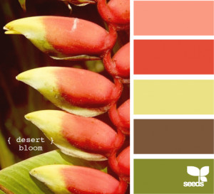 Home Design on Design Seeds For All Who Color Desert Bloom