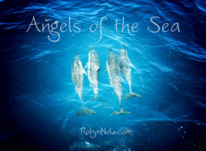 dolphins are angels of the sea dolphins bring a loving and a powerful ...