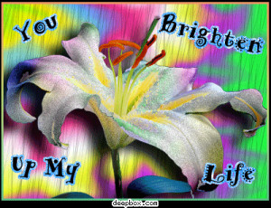 quote , greetings , comment , appreciation