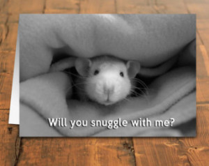Cuddly Rat card, Will you snuggle w ith me card, rat or mouse cuddling ...