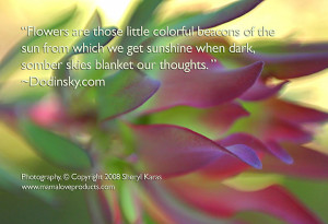 Photograph, © Copyright 2008 Sheryl Karas, http://www ...