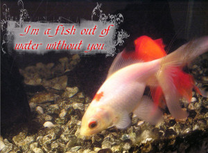fish out of water without you.